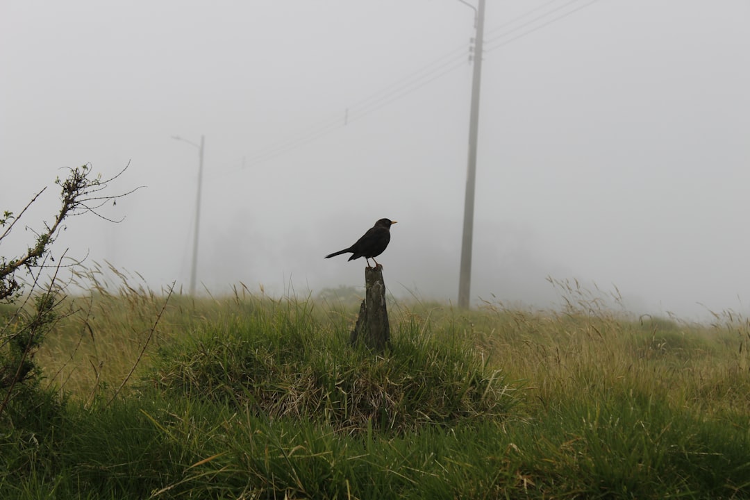Turrialba: il vulcano attivo della Costa Rica - Provincia di Cartago | Secret World Trip Planner
