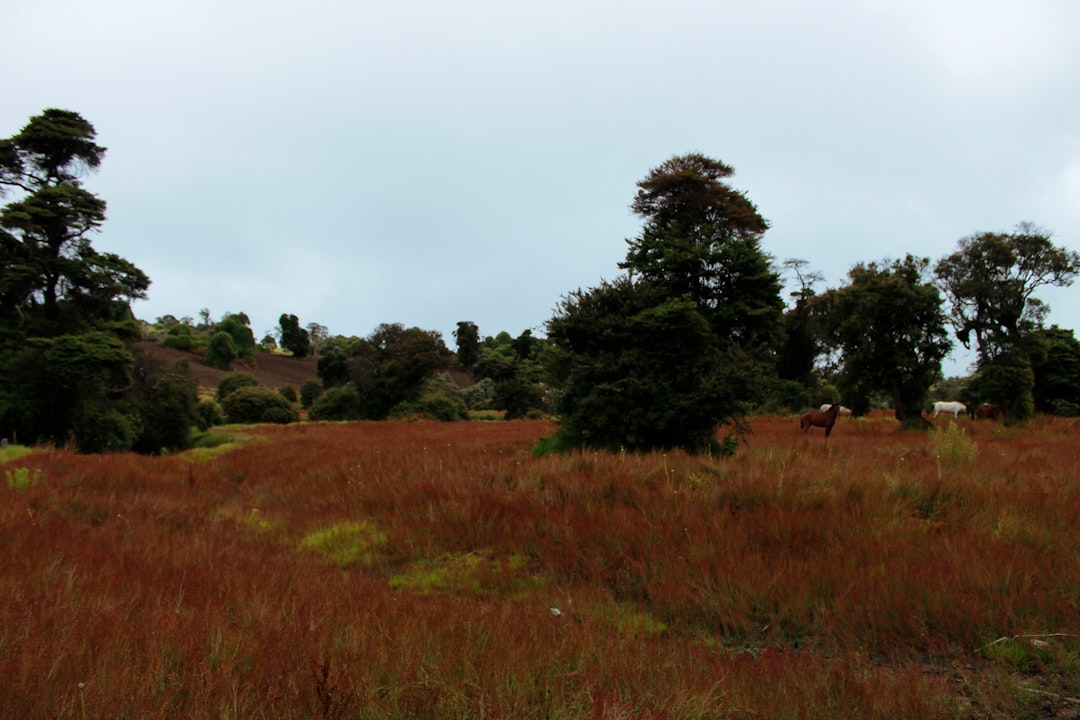 Turrialba: Der aktive Vulkan in Costa Rica - Provincia di Cartago | Secret World Trip Planner