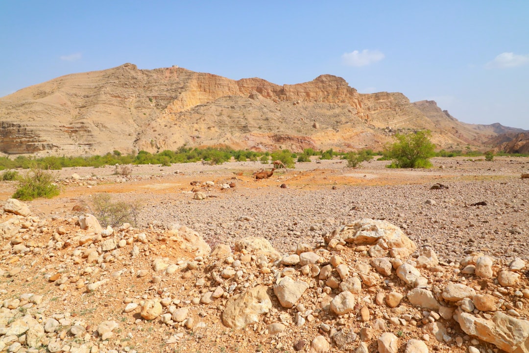 Wadi Bani Khalid: le piscine naturali dell'Oman orientale - Wadi Bani Khalid | Secret World Trip Planner
