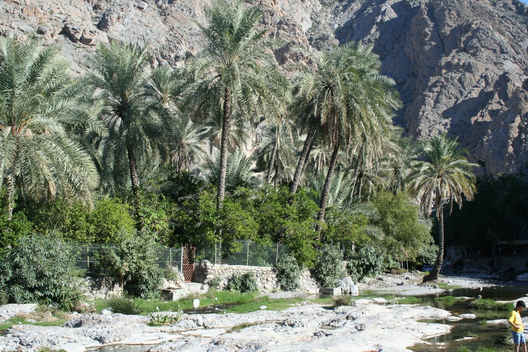 Wadi Bani Khalid: Die natürlichen Pools im Oman - Wadi Bani Khalid | Secret World Trip Planner