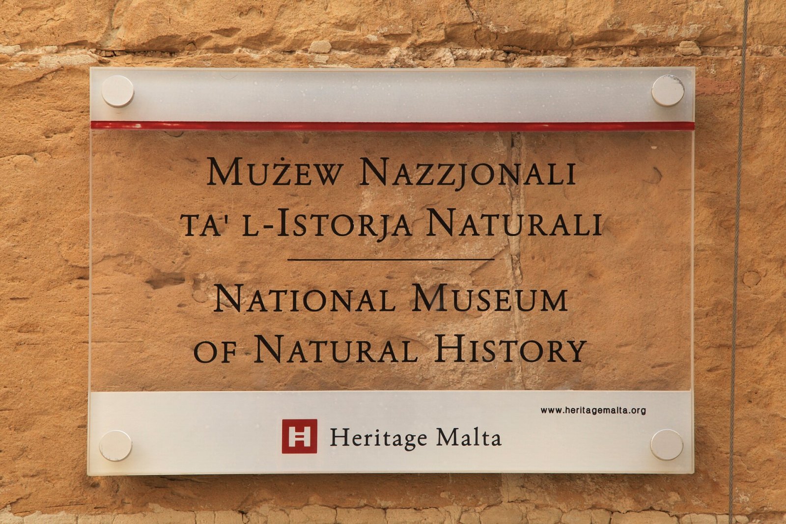 Entdecken Sie das Nationalmuseum für Naturgeschichte in Mdina, Malta — Mdina Rd