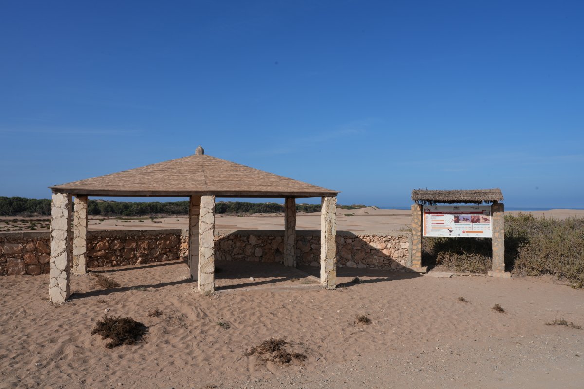 Souss Massa National Park: Wild Nature in Morocco - Sidi Binzarne | Secret World Trip Planner