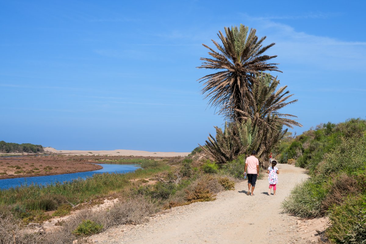 Nationalpark Souss Massa: wilde Natur in Marokko — Sidi Binzarne