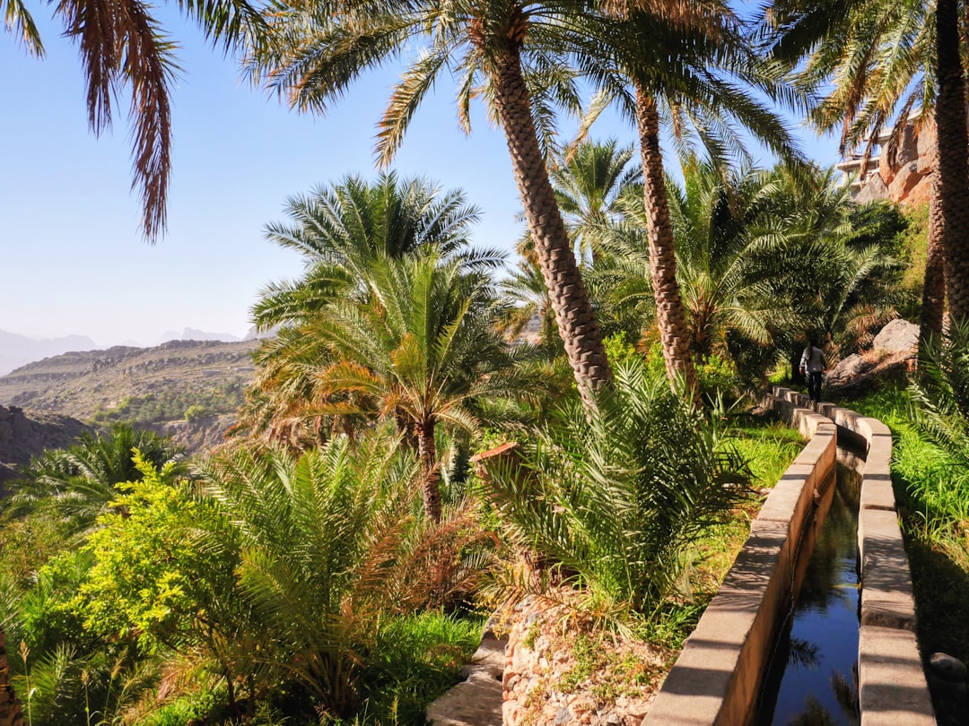 Misfah al Abriyyin: The Stunning Cliff Village of Oman — Misfah al Abriyyin