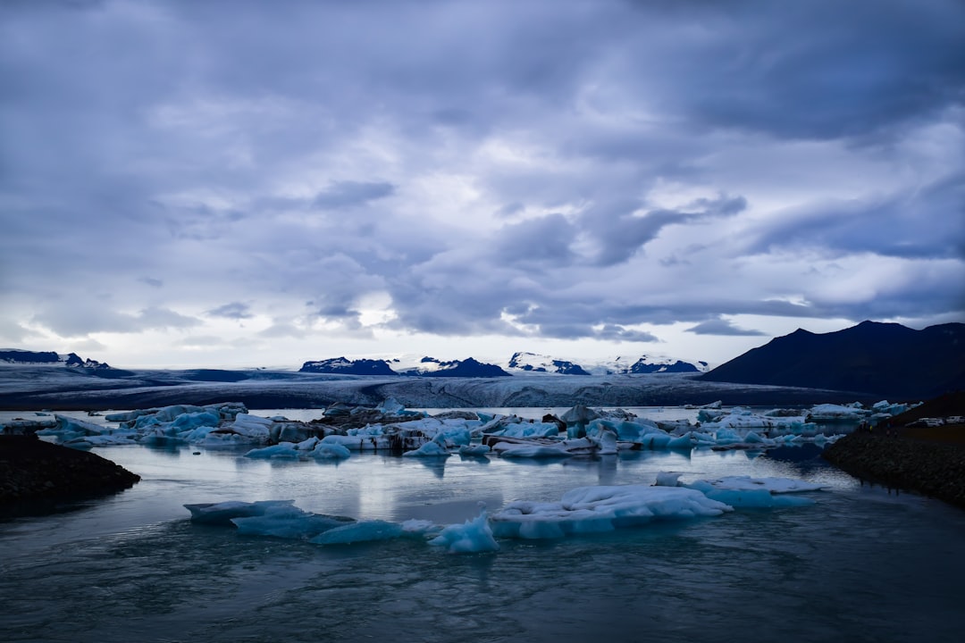 Jökulsárlón: Icebergs and Wildlife in Iceland's Glaciers - Jökulsárlón | Secret World Trip Planner