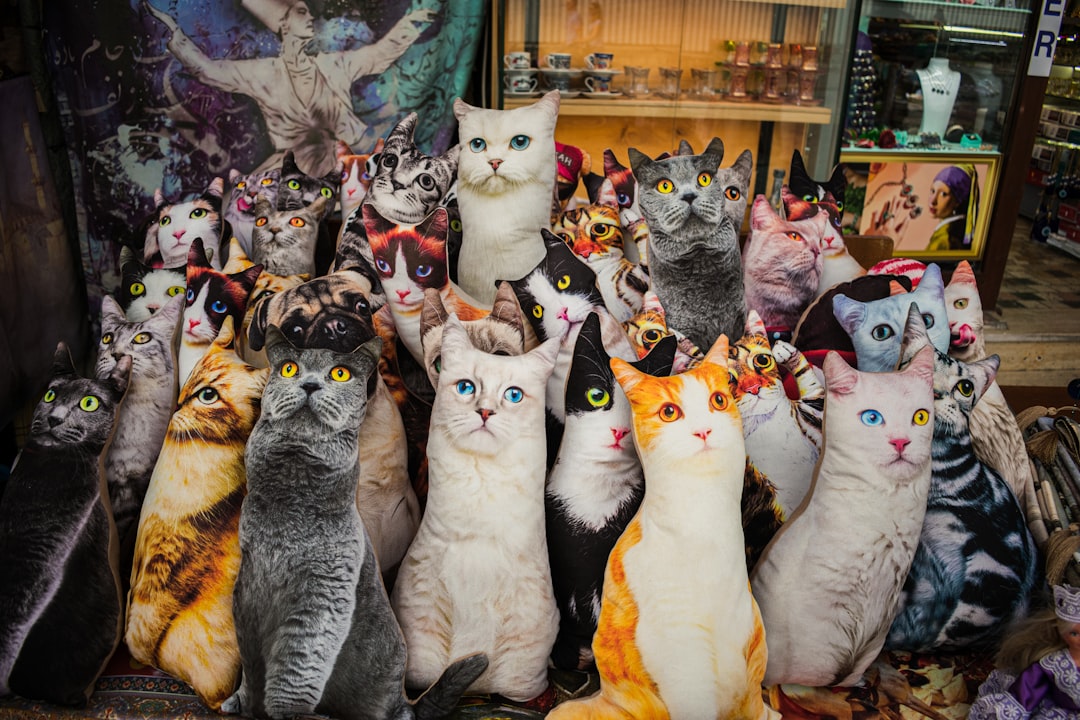 Katzenmuseum in Kotor: Katzen und Handwerker im Mittelalter - Trg Gospa od Anđela - Stari Grad 371 | Secret World Trip Planner