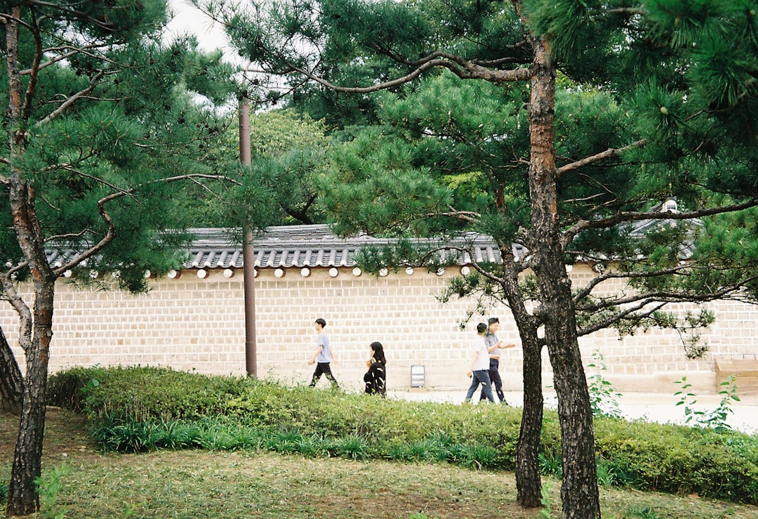 Discover the Abraham Park Kenneth Vine Museum in Seoul — Guro District