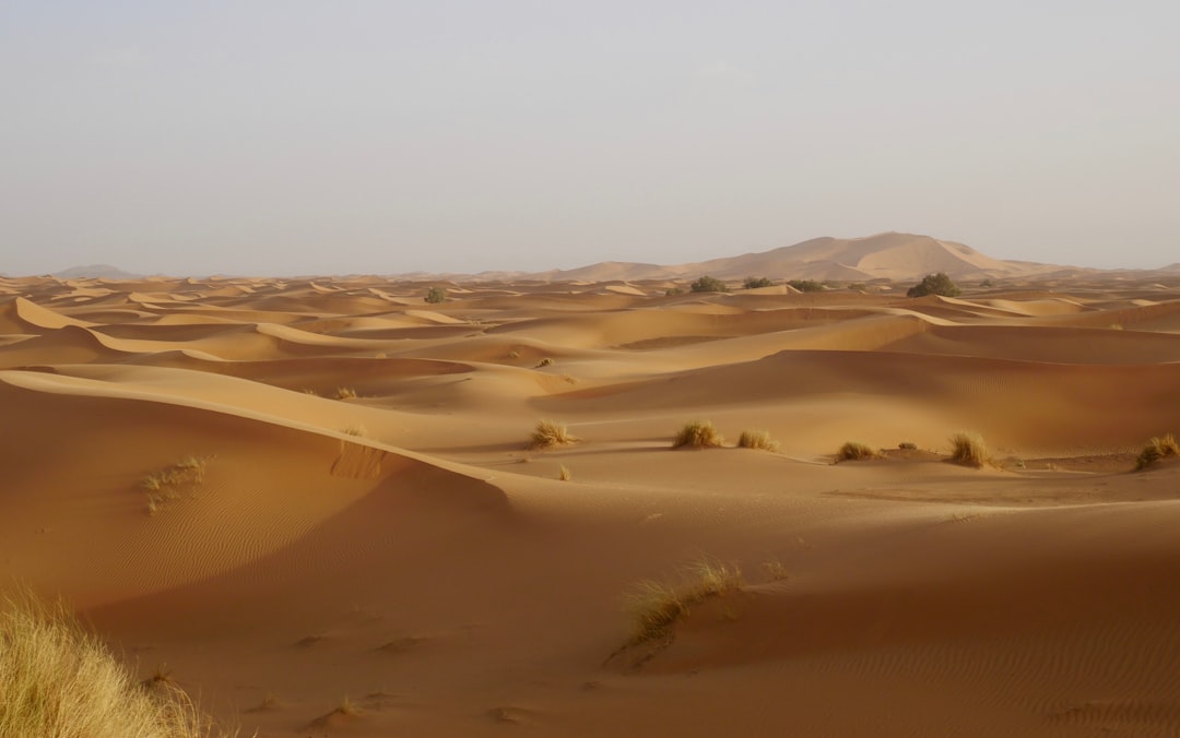 Erg Chebbi: Die orangen Dünen der marokkanischen Sahara - 423P+F6 | Secret World Trip Planner