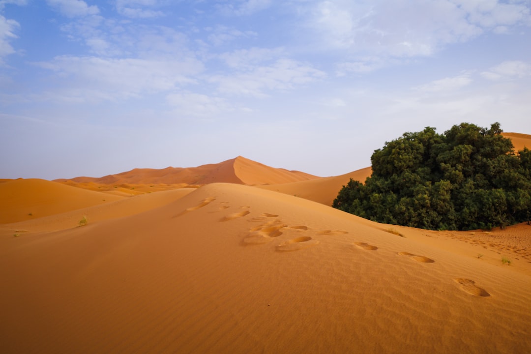 Erg Chebbi: Die orangen Dünen der marokkanischen Sahara - 423P+F6 | Secret World Trip Planner