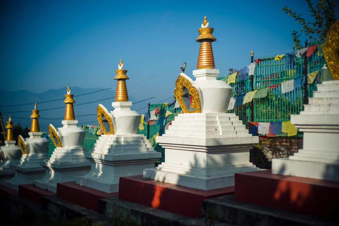 Punakha Dzong: The Fortress Monastery of Bhutan - HVR7+G62 | Secret World Trip Planner