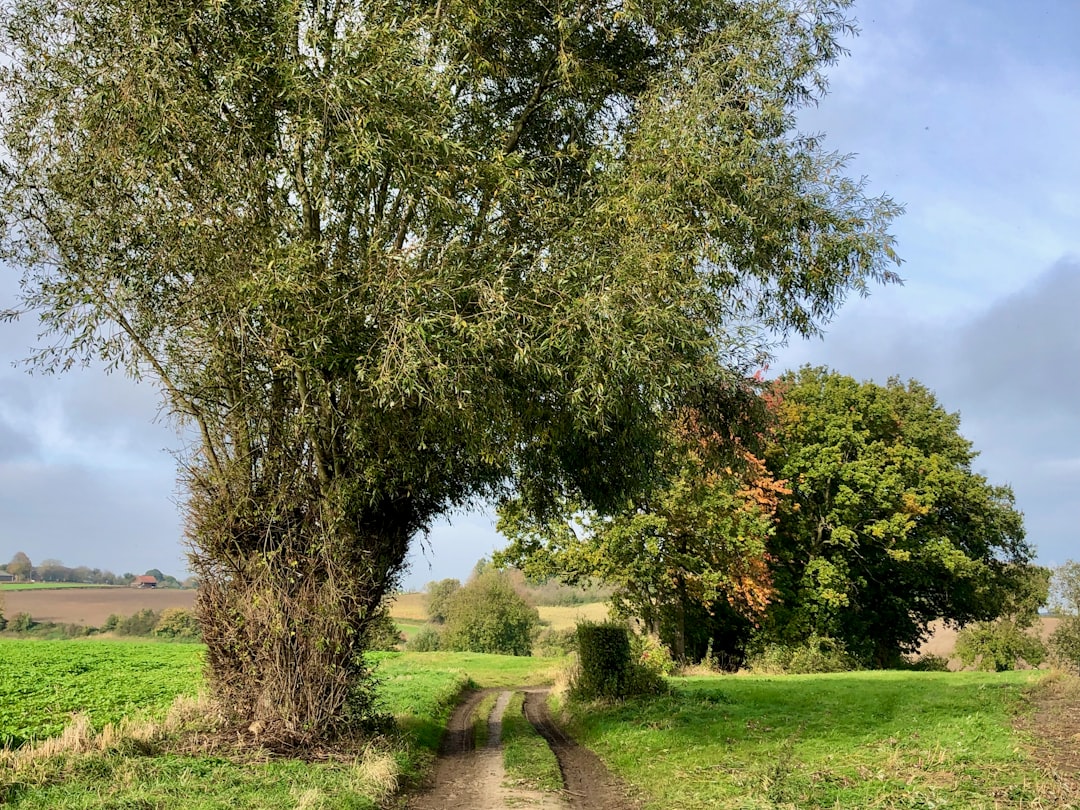Chemin de la Mâture: der Weg in den Felsen - Chem. de la Mâture | Secret World Trip Planner
