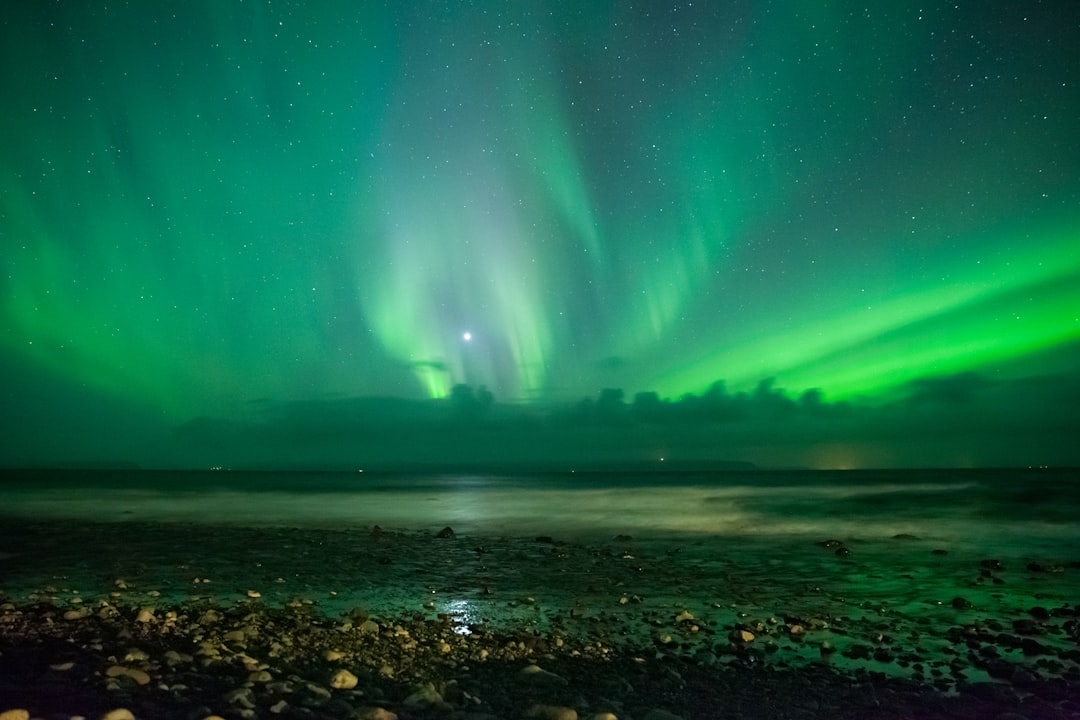 Scopri Vatnsnes: un angolo selvaggio dell'Islanda — Keflavík