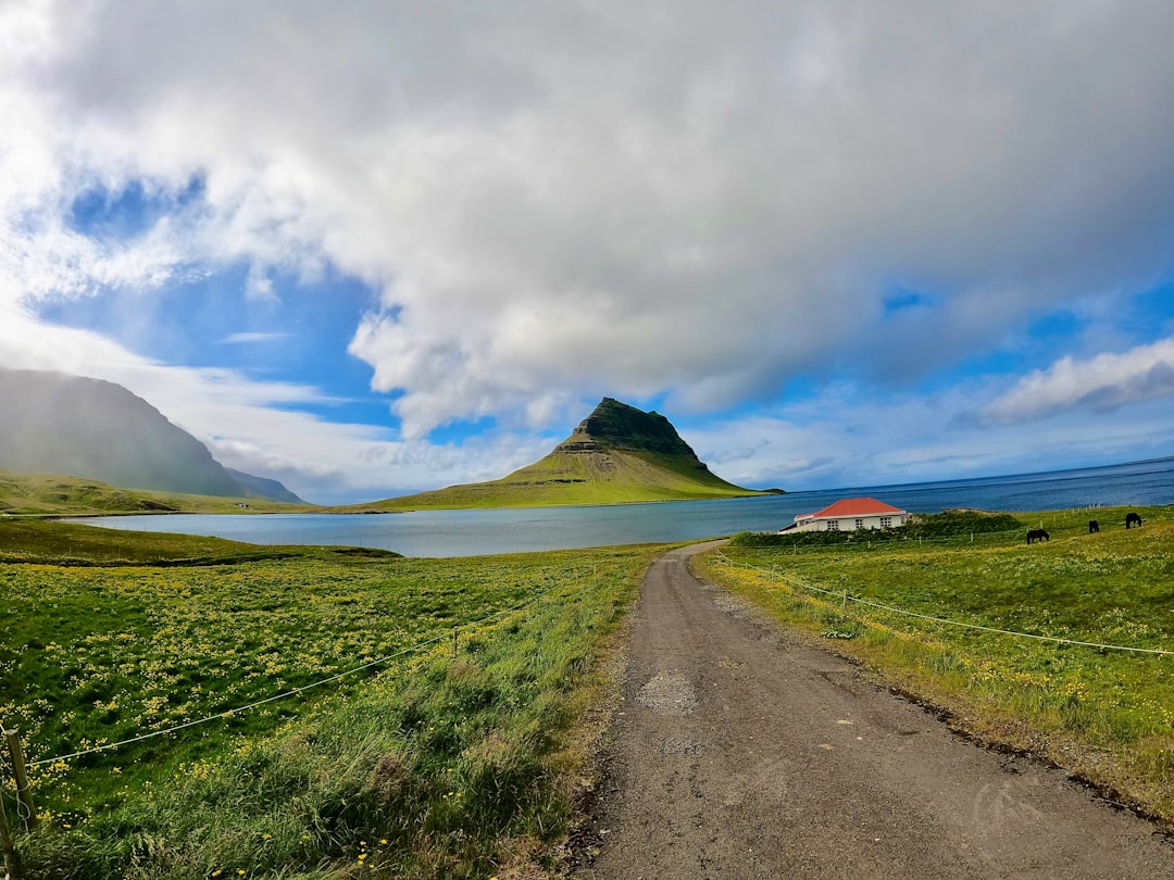 Scopri Vatnsnes: un angolo selvaggio dell'Islanda - Keflavík | Secret World Trip Planner