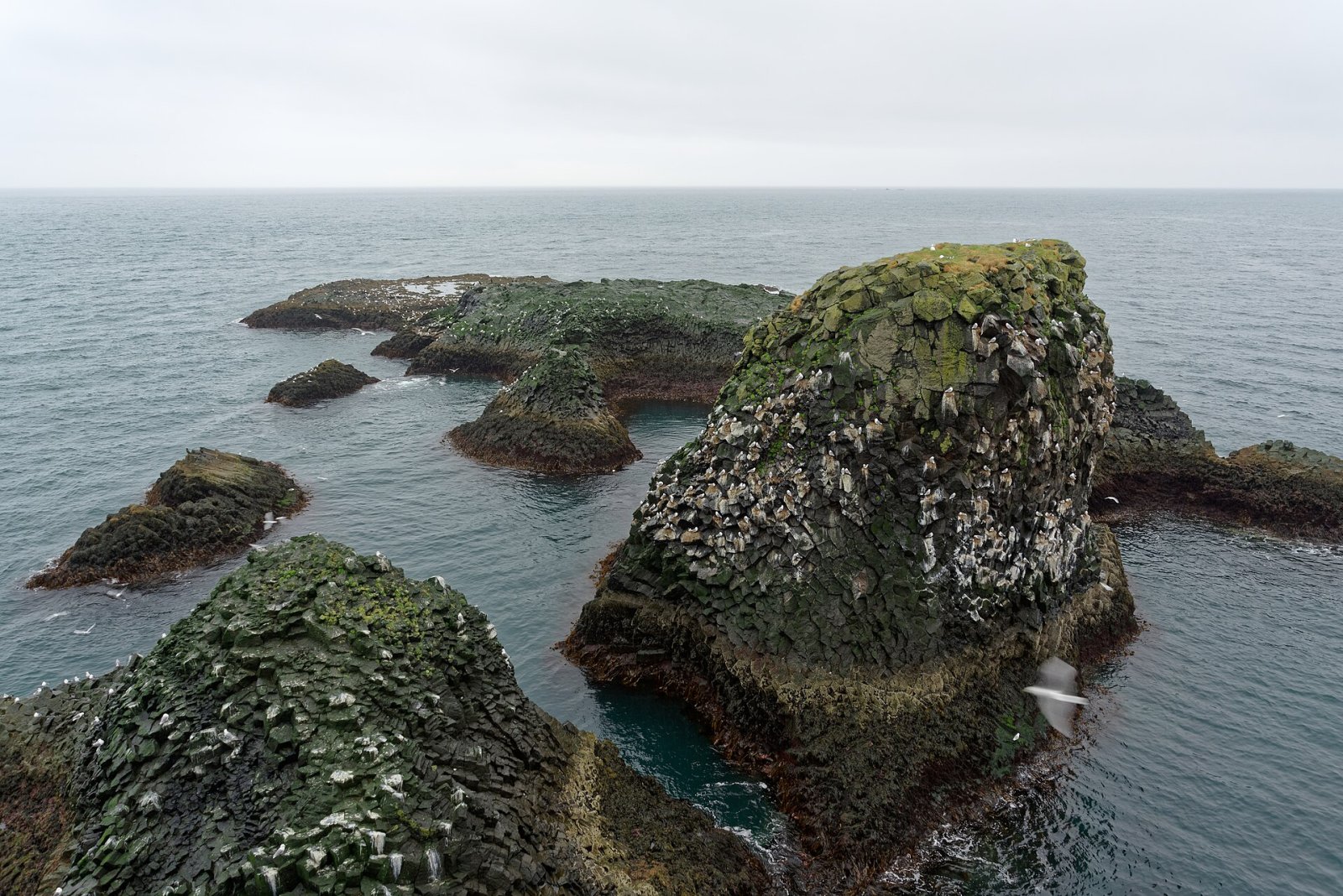 Arnarstapi: a Hidden Gem of Iceland - Arnarstapi | Secret World Trip Planner