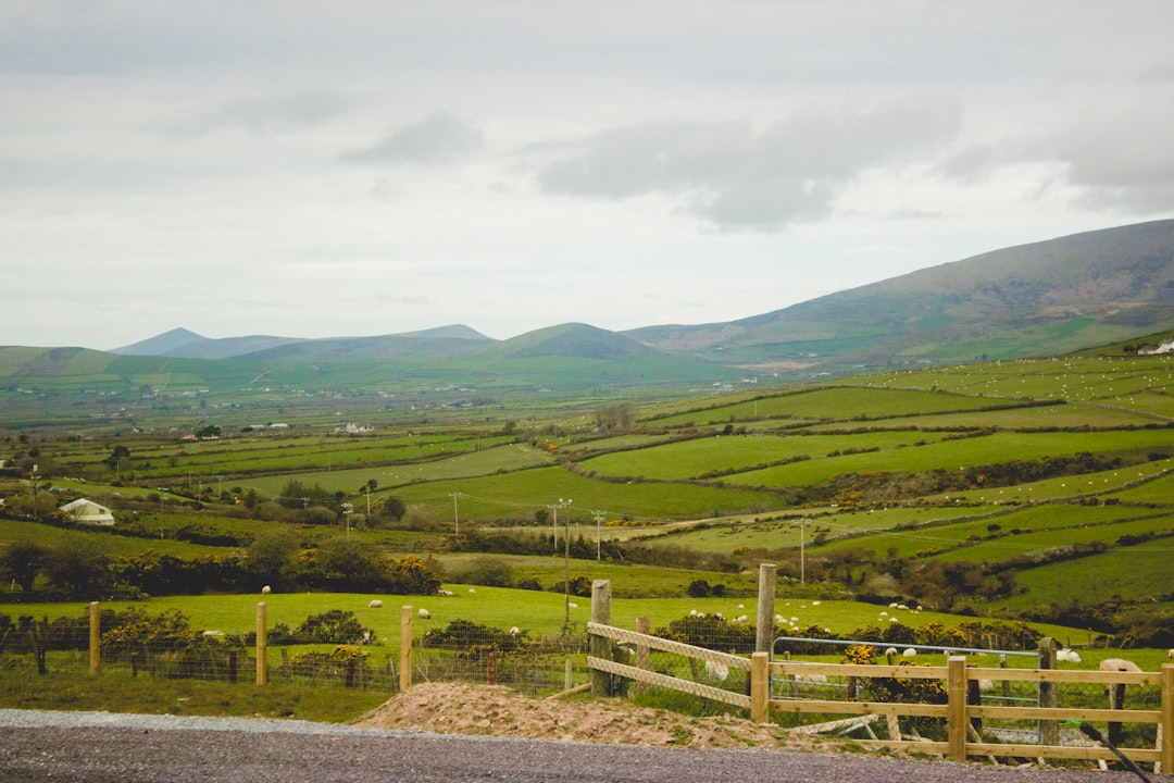 Discover Slievecoiltia: A Must-See Corner of Ireland — Slievecoiltia Commons