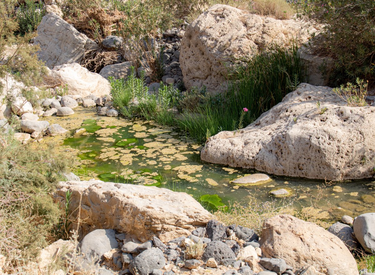 Wadi al Mujib: Jordan's Deepest Canyon Adventure — Wadi al Mujib
