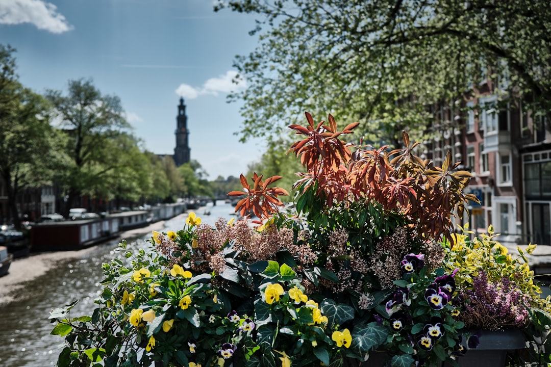 Hortus Botanicus di Amsterdam: guida alla visita — Plantage Middenlaan 2a