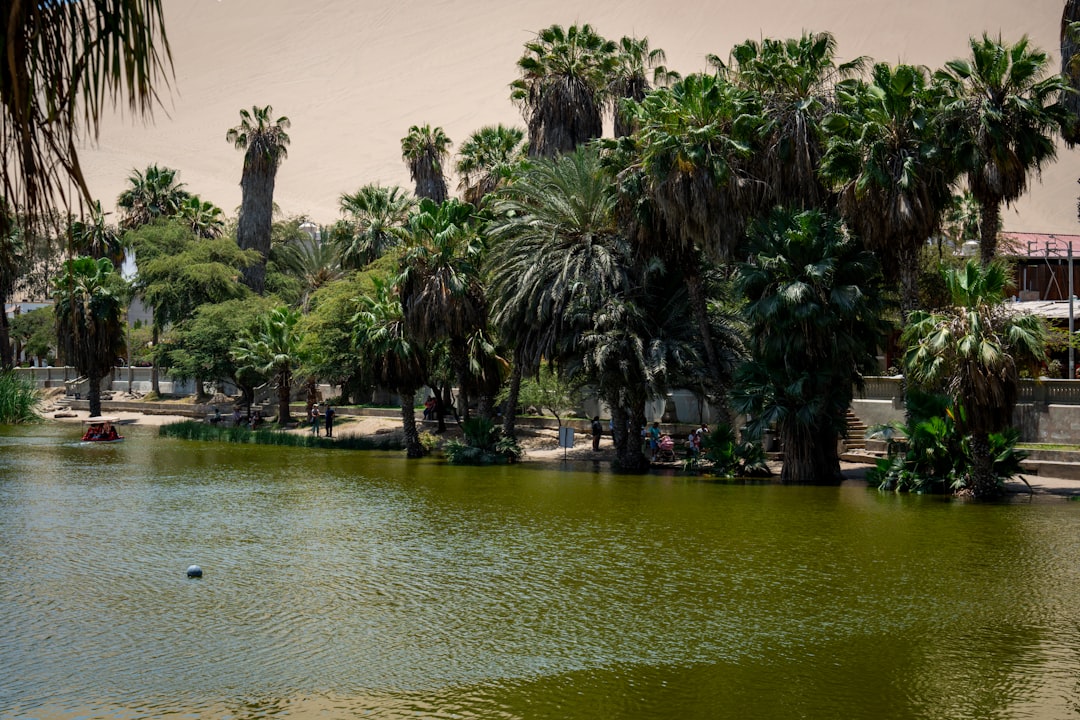 Huacachina: l'oasi nel deserto di Ica, Perù - Unnamed Road | Secret World Trip Planner