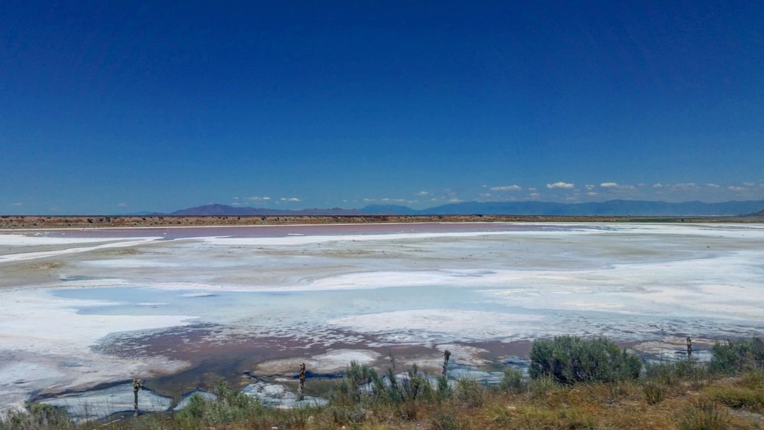 Saline Aguada Blanca: High-Altitude Wildlife Wonders - Reserva Nacional de Salinas y Aguada Blanca | Secret World Trip Planner