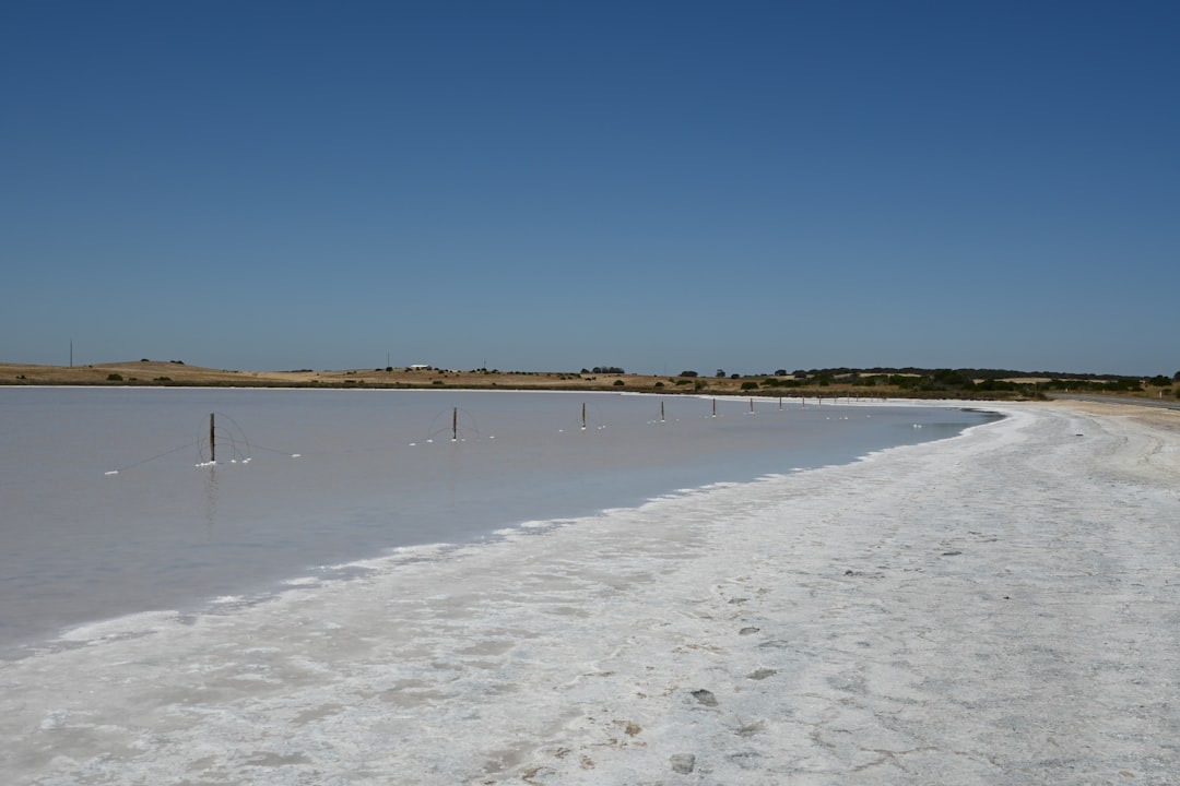 Saline Aguada Blanca: High-Altitude Wildlife Wonders - Reserva Nacional de Salinas y Aguada Blanca | Secret World Trip Planner