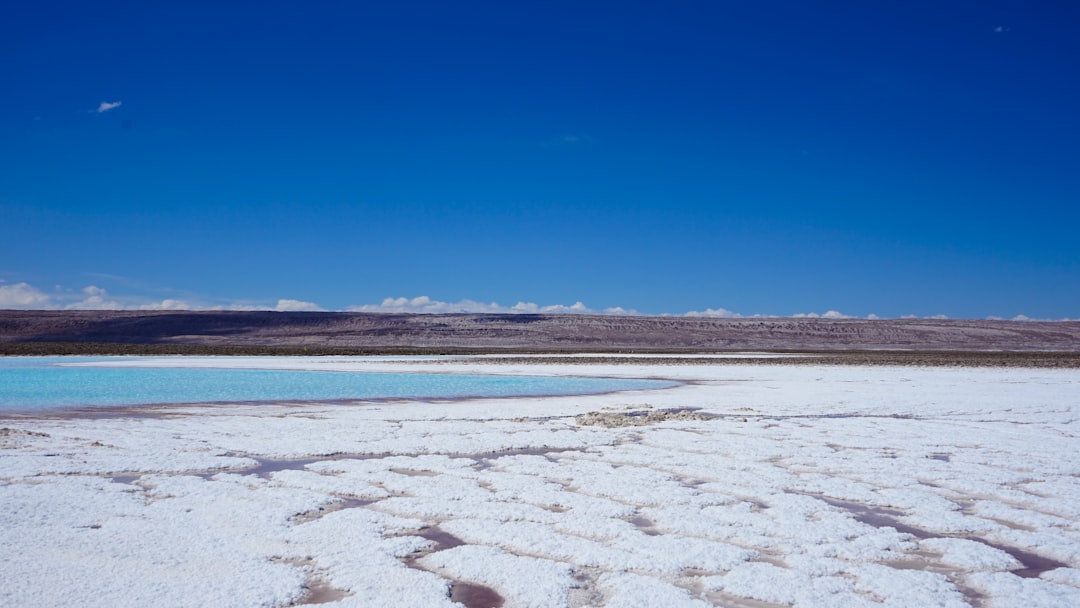 Saline Aguada Blanca: Hochgebirgswildtiere entdecken - Reserva Nacional de Salinas y Aguada Blanca | Secret World Trip Planner