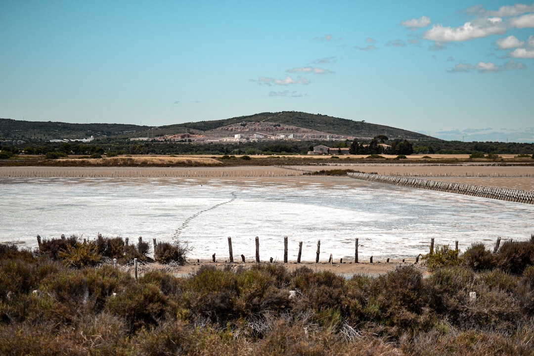 Saline Aguada Blanca: Hochgebirgswildtiere entdecken - Reserva Nacional de Salinas y Aguada Blanca | Secret World Trip Planner