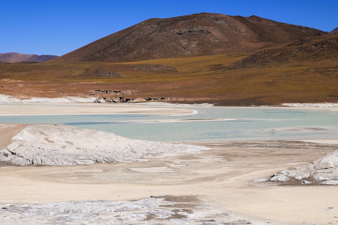 Saline Aguada Blanca: Hochgebirgswildtiere entdecken - Reserva Nacional de Salinas y Aguada Blanca | Secret World Trip Planner