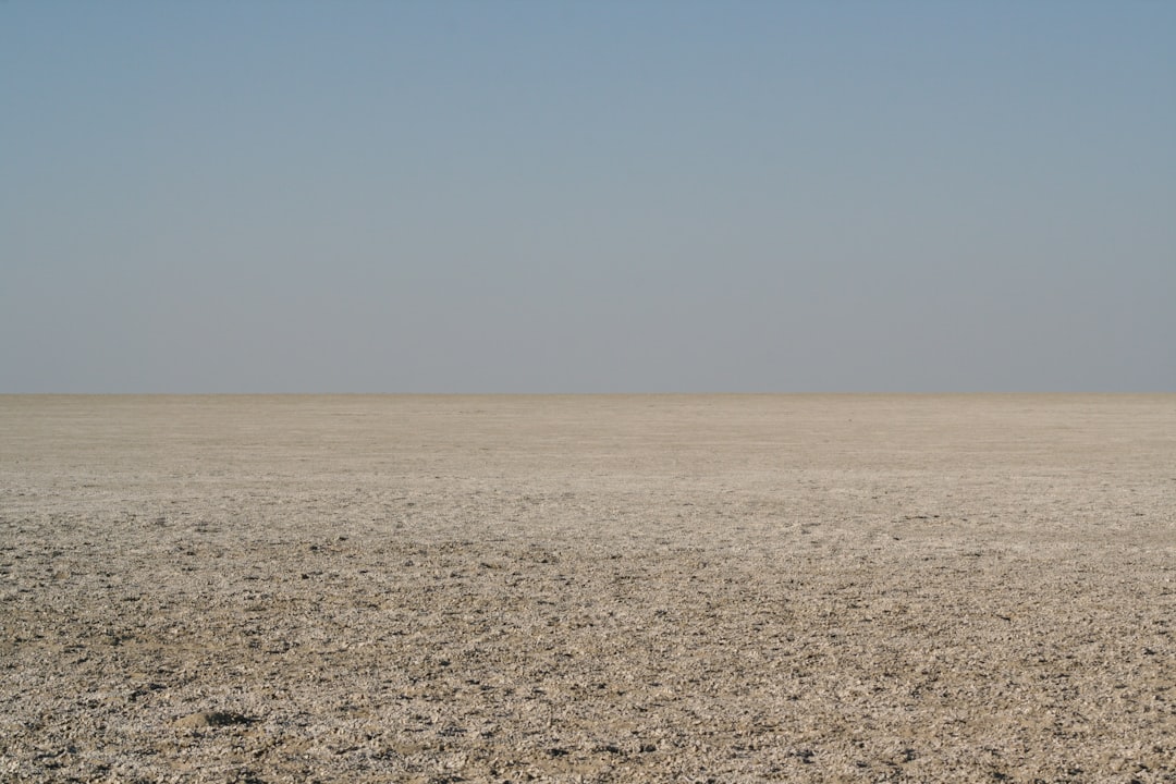 Rann of Kutch: Die weiße Wüste von Gujarat - Dhordo | Secret World Trip Planner