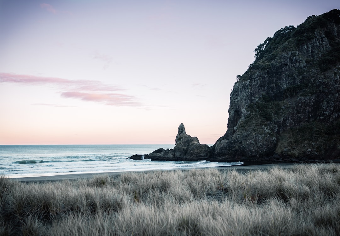 Discover Sentinel Rock: A Gem of New Zealand - Sentinel Rock Walk | Secret World Trip Planner