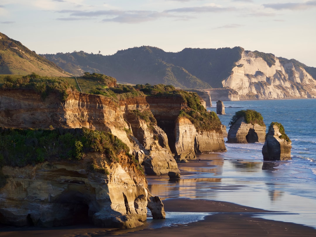 Cape Farewell: Meraviglie della Nuova Zelanda - Pūponga | Secret World Trip Planner