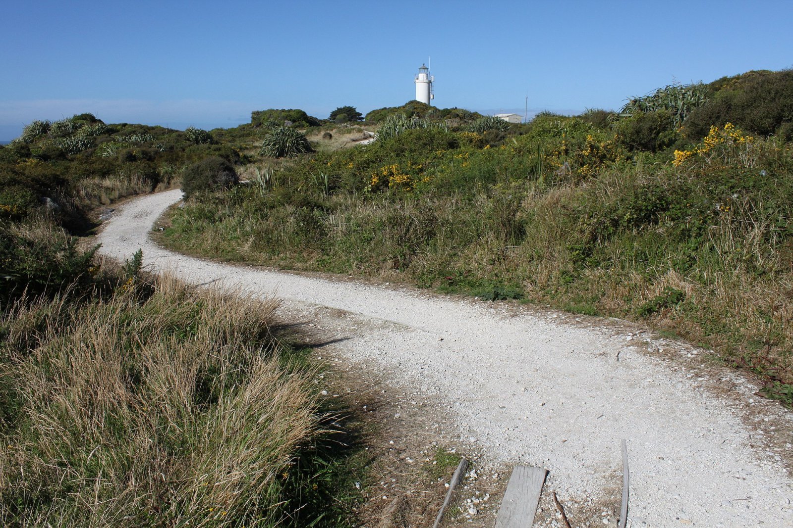 Cape Foulwind: Ein Juwel an der Westküste Neuseelands — Cape Foulwind