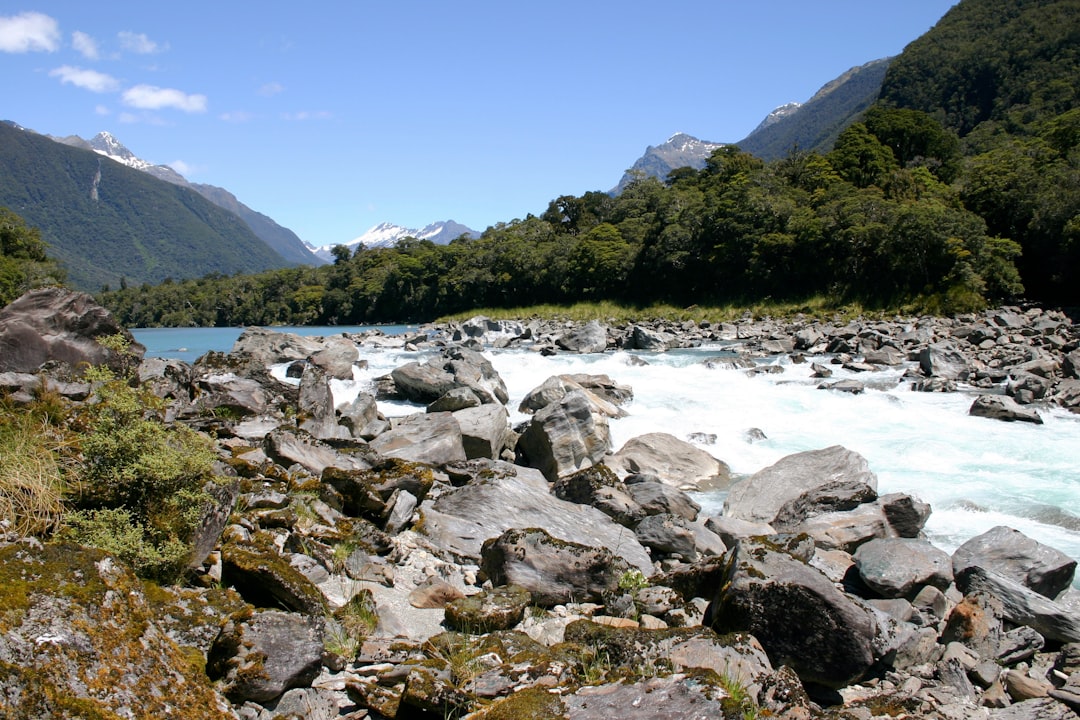 Discover the Silica Rapids: a Gem of New Zealand — Waimarino