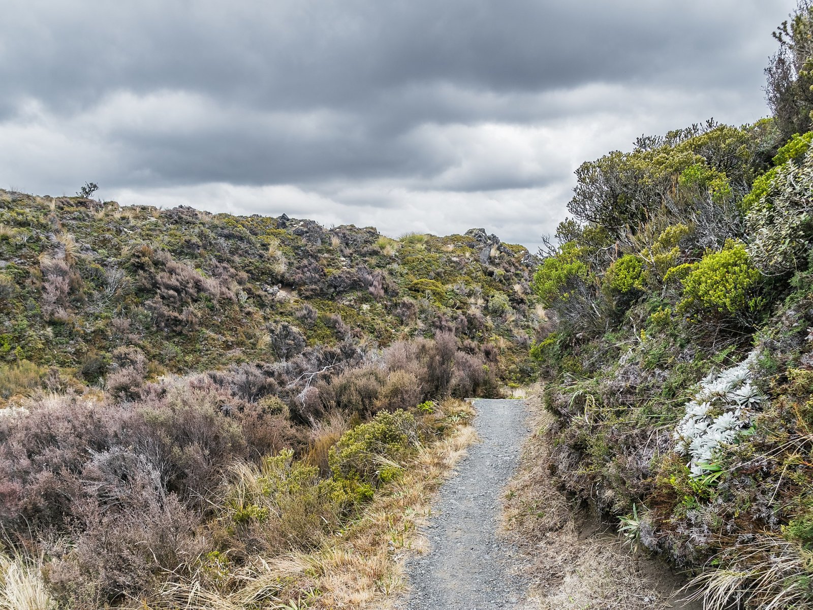 Discover the Silica Rapids: a Gem of New Zealand - Waimarino | Secret World Trip Planner