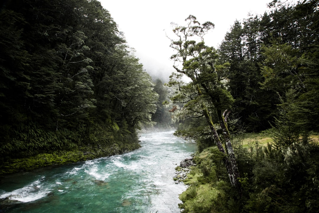 Entdecken Sie die Silica Rapids: ein Juwel Neuseelands - Waimarino | Secret World Trip Planner