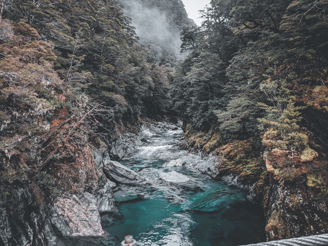Discover The Chasm: A Hidden Gem in New Zealand — Milford Sound