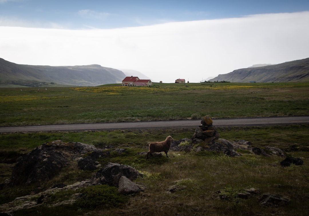 Entdecken Sie Þorsteinn Erlingsson: Der isländische Dichter der Natur und sozialen Kritik — Reykjavík