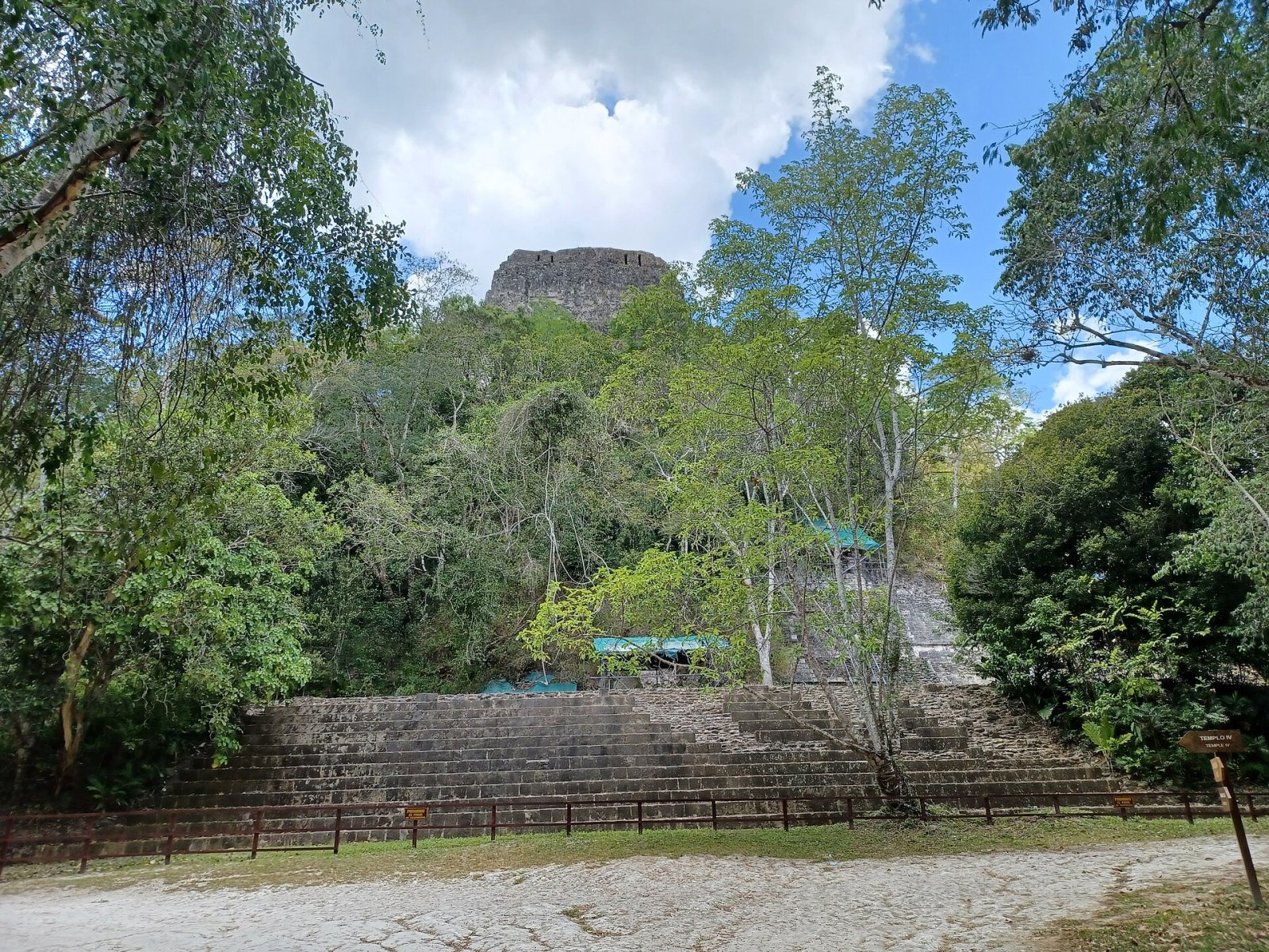 Entdecken Sie den Tempel IV: ein Juwel von Tikal in Guatemala — Tikal