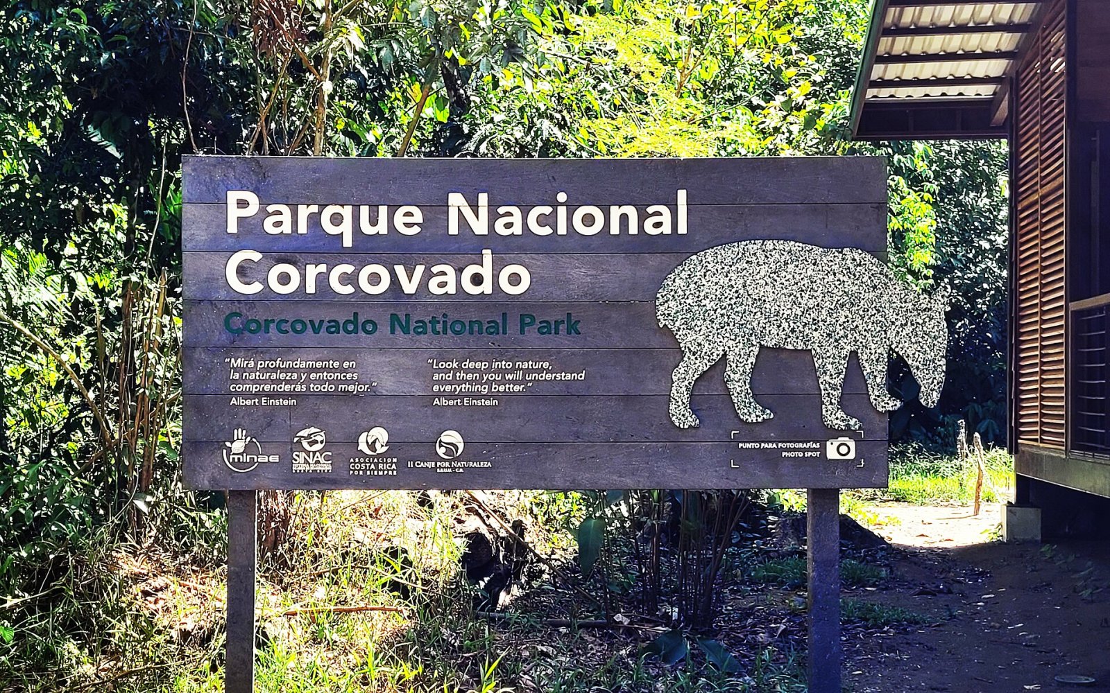 Entdecken Sie den Corcovado-Nationalpark: ein Juwel der Biodiversität — Puerto Jiménez
