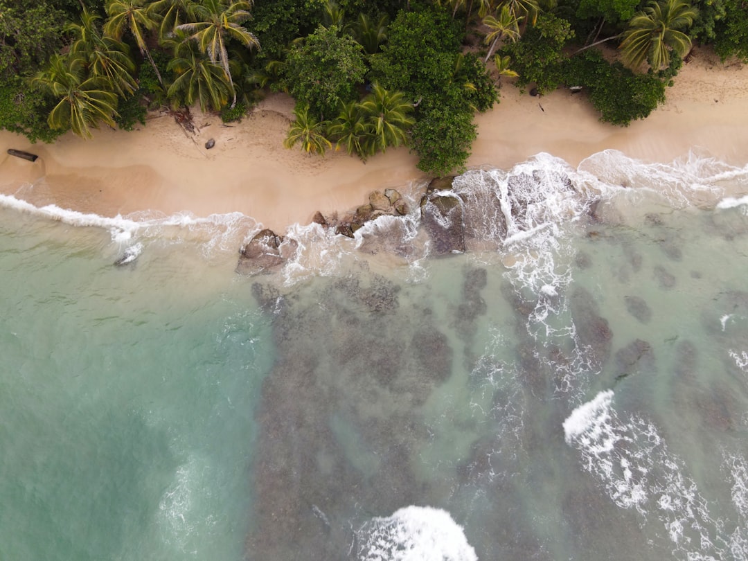 Scopri Punta Uva: Un Paradiso Tropicale in Costa Rica - Punta Uva | Secret World Trip Planner
