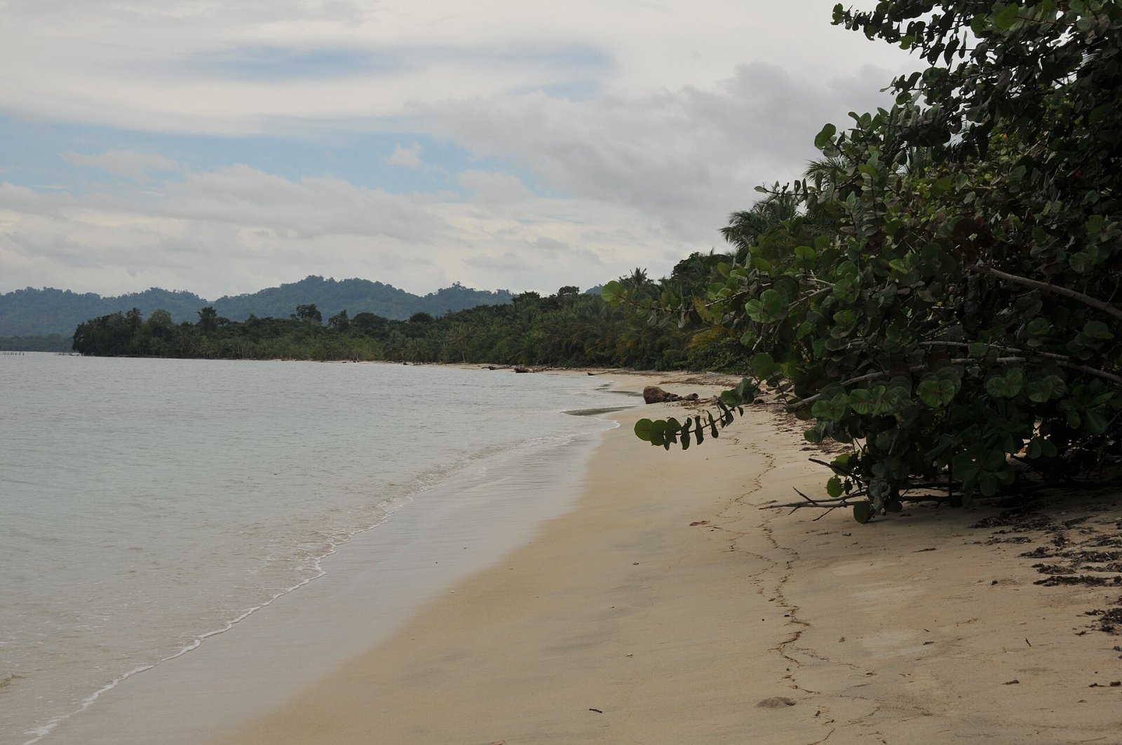 Discover Punta Uva: A Tropical Paradise in Costa Rica — Punta Uva