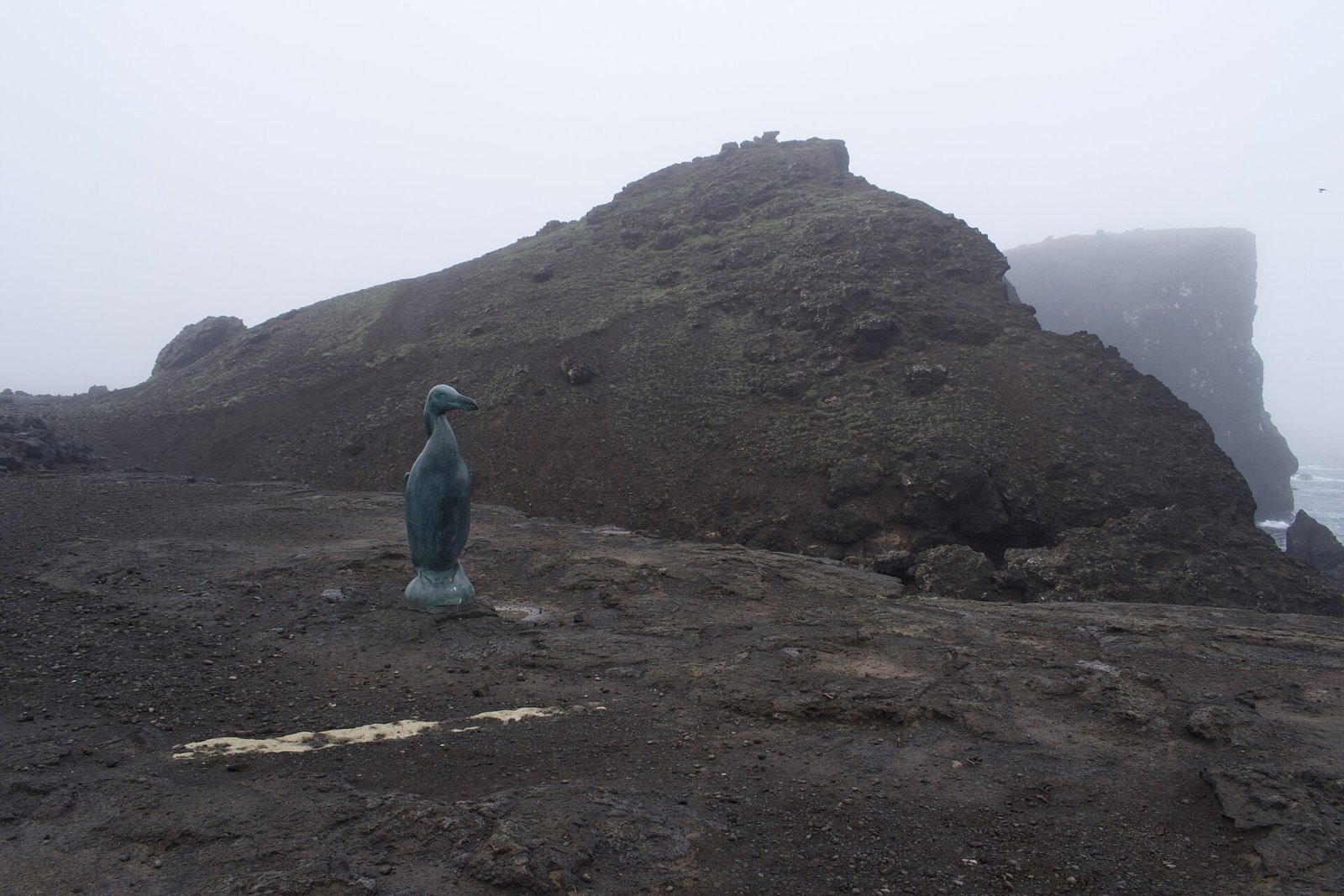 Discover the History of the Great Auk in Iceland — Reykjavík