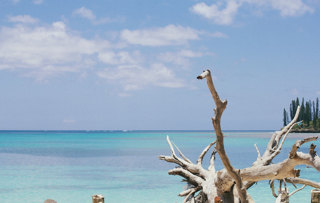Lifou: The Coral Island of Crystal Clear Waters - Lifou | Secret World Trip Planner