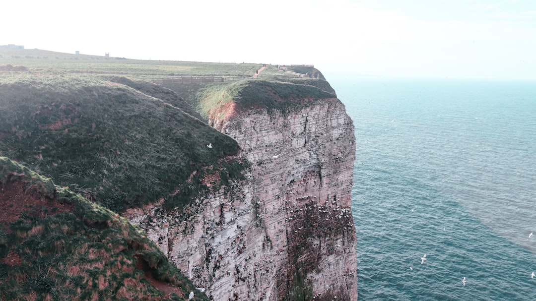 Flammende Klippen: Die roten Felsen der Mongolei - 4PRC+X6G | Secret World Trip Planner