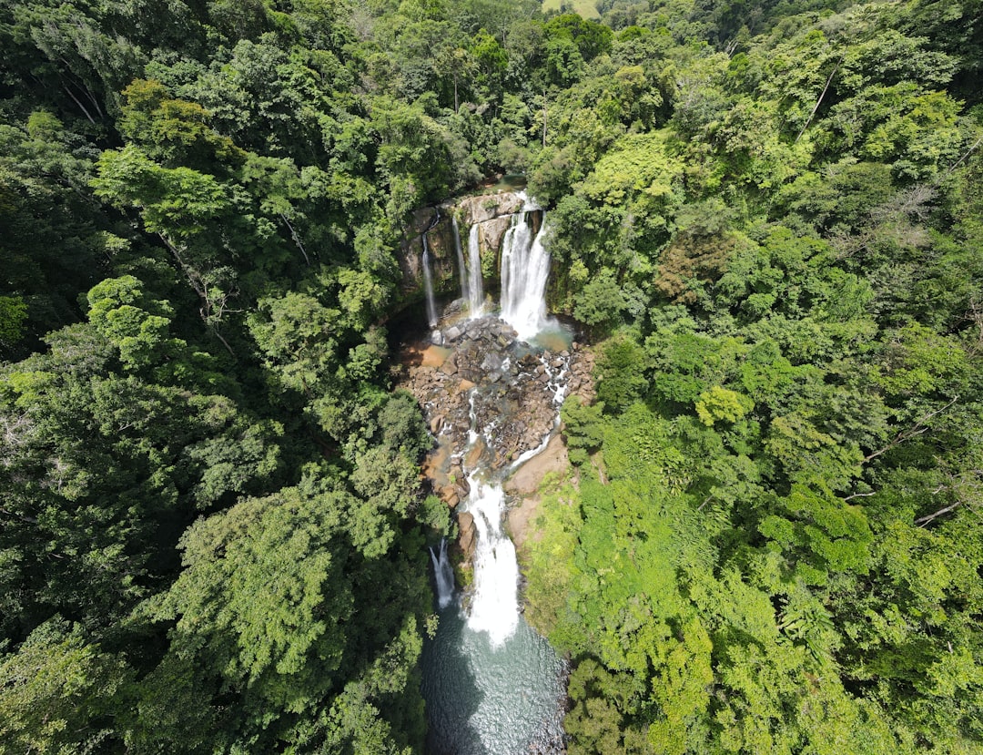 Cascate Nauyaca: Doppelsprung im costa-ricanischen Wald — Pérez Zeledón