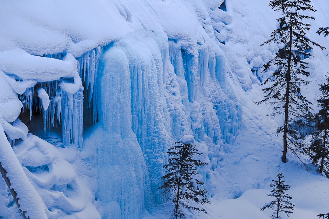 Johnston Canyon: cascate e canyon tra le Rockies canadesi — Improvement District No. 9