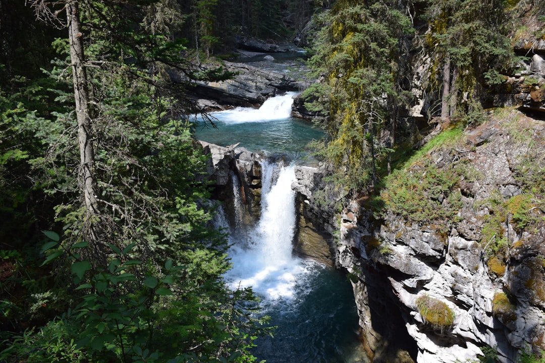 Johnston Canyon: cascate e canyon tra le Rockies canadesi - Improvement District No. 9 | Secret World Trip Planner