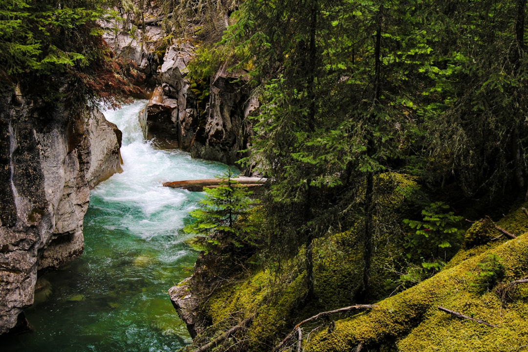 Johnston Canyon: Wasserfälle und Schluchten in den kanadischen Rockies - Improvement District No. 9 | Secret World Trip Planner