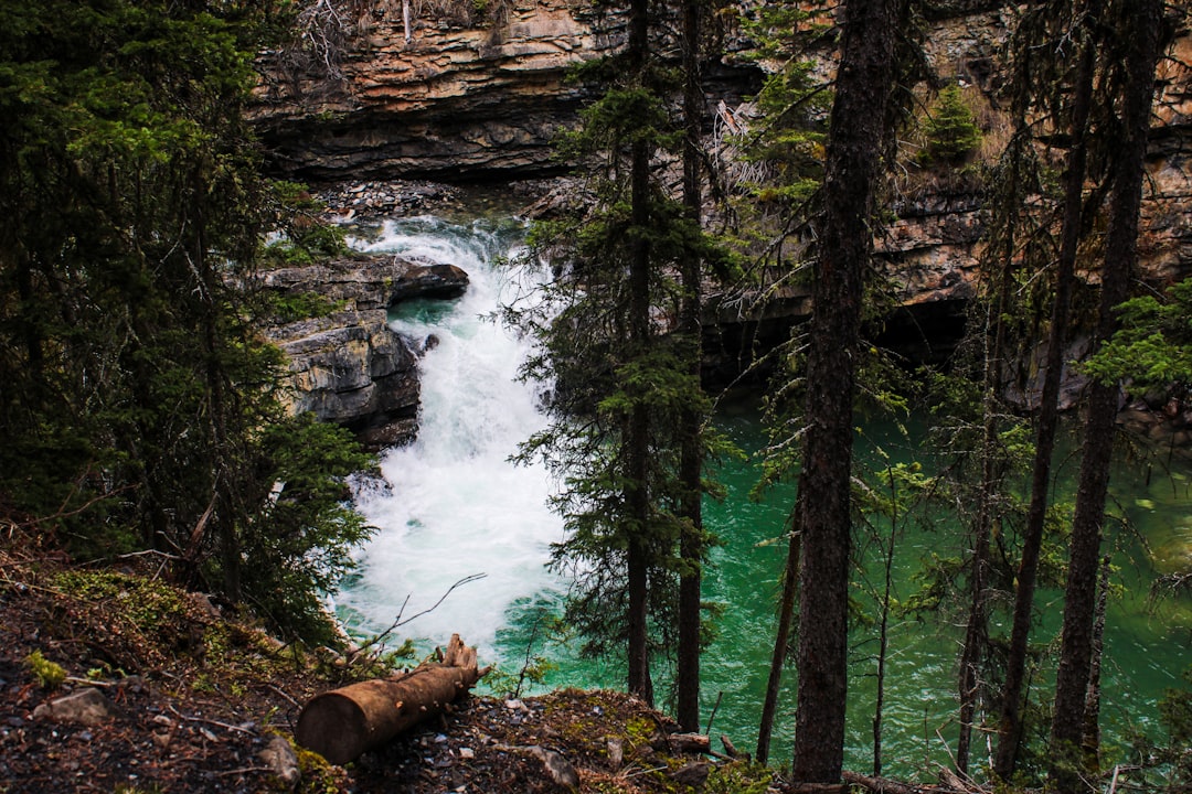 Johnston Canyon: Wasserfälle und Schluchten in den kanadischen Rockies - Improvement District No. 9 | Secret World Trip Planner