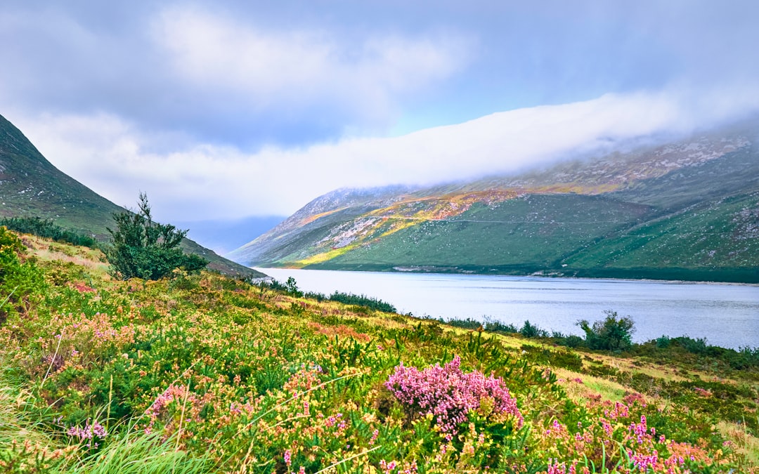 Valley of Flowers in Yumthang: High-Altitude Blooms - Yumthang | Secret World Trip Planner