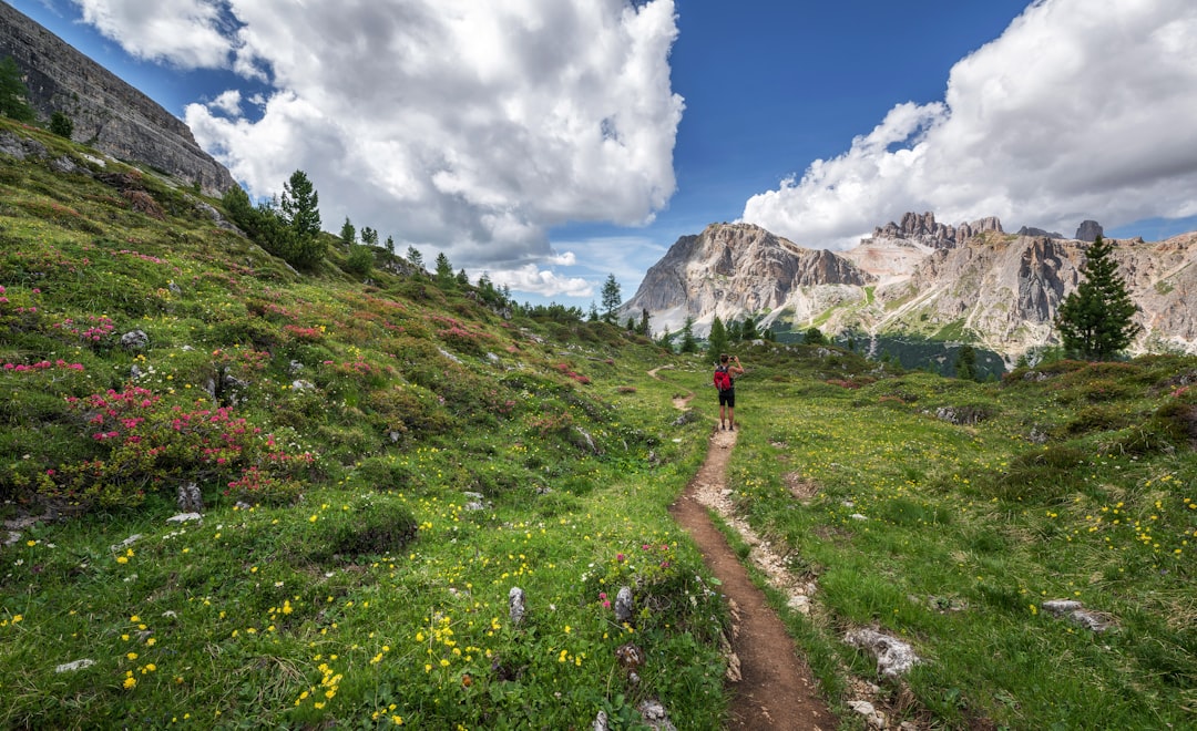 Blumen-Tal in Yumthang: Hochgebirgsblüten - Yumthang | Secret World Trip Planner